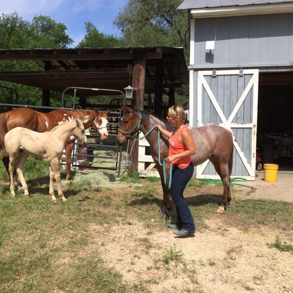 Horse trainer Jo Marie with 2018 foal and 2017 yearling