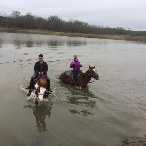 Texas dude ranch horseback Riders take the plunge into the lake on horseback, pictured here are Rocky our trust chestnut quarter horse and Annie, our paint mare who is currently bred