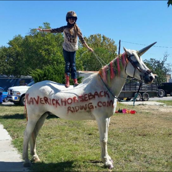 youth equestrian stands atop rainbow unicorn, unofficial SXSW superstar, "Maverick," our Percheron/Arabian cross