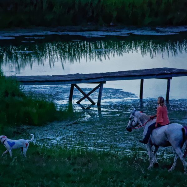 Horse ranch pond is low from drought, but trainer Joan Marie MacCoy still enjoys a trip around the lake with Maverick and her dog Cecelia