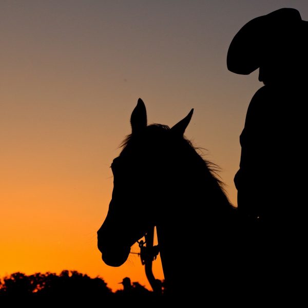 Orange sky blazes like the sun during the final hours of the day at Dude ranch in San Antonio, with cowboy pictured in silhouette on his trusted steed