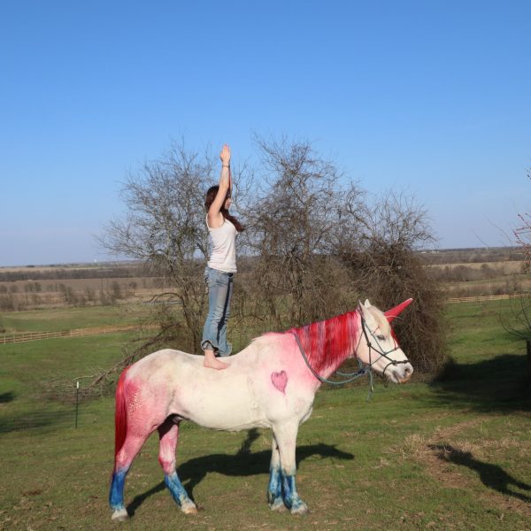 overnight horse camper Anabelle poses on Maverick in a standing position, while he sports a unicorn look with a red mane and blue feathers