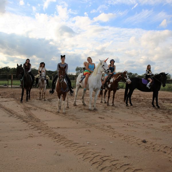 at the far left is Cat our half hackney half arabian registered gelding with a rider dressed as a vampire, then a pirate on appaloosa gelding for sale and a cat riding a paint gelding, in the middle is MacCoy riding the infmaous Maverick dressed as a circus star with her son riding behind with a cow outfit, so he is literally a cowboy! then a fairy on sorrel and white paint mare, Annie up, and following that on the far right is child rider on black, dressed as a knight in shining armor,