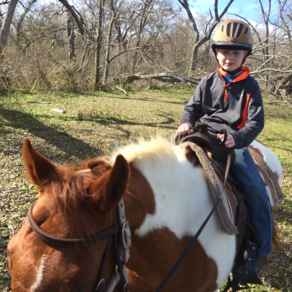young boy rides his trusted mount for the day, Teddy, a brown and white paint gelding used as a hunter jumper horse at a riding facility in Texas