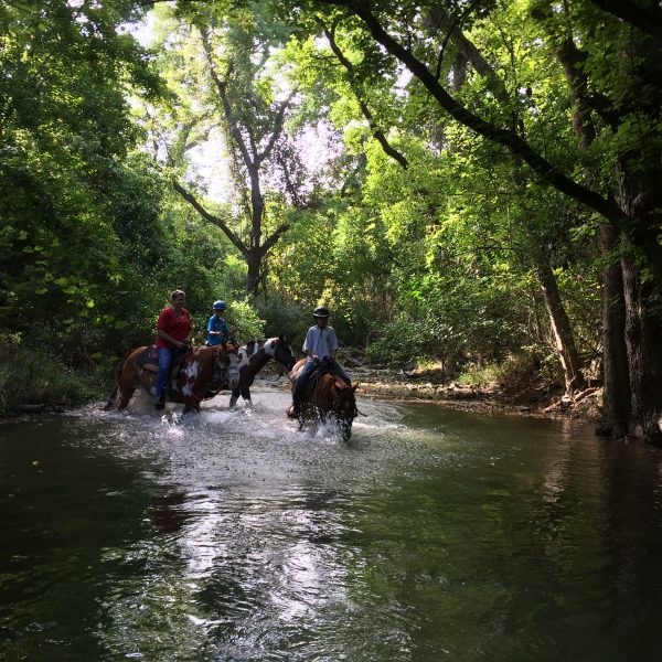 group trail ride in the river of San Marcos Texas