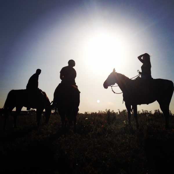 Call to make a reservation and take a horseback riding session of a lifetime!