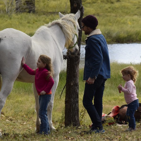 Father and two young daughter groom giant grey gelding, Maverick, at community event in Lockhart