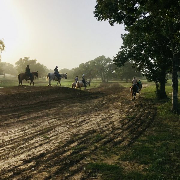 professional motocross dirt bike track provides excellent horseback riding opportunities