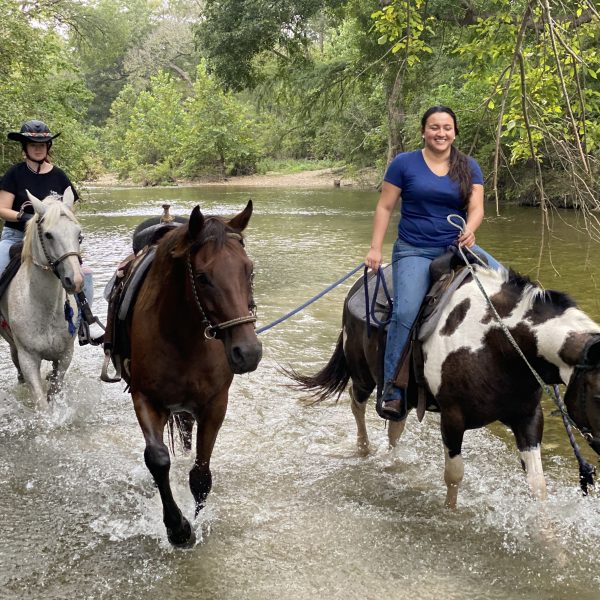 black and white paint mare leads OTTB horse in training in the water in onion creek park, Austin