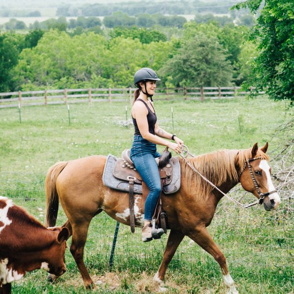 Lessons - Maverick Horseback Riding