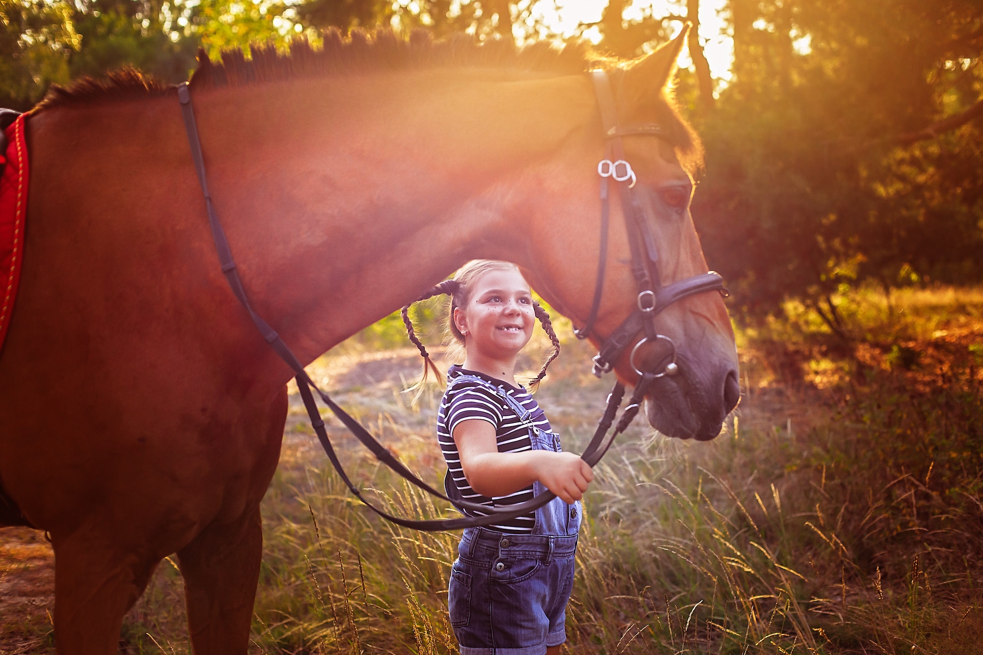 Little girl with horse at sunset