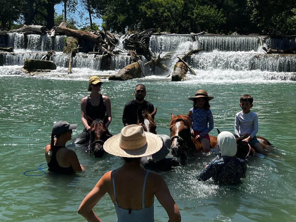 Swimming with horses